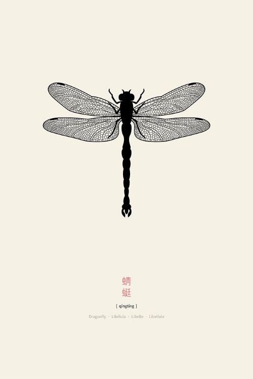 Picture of DRAGONFLY