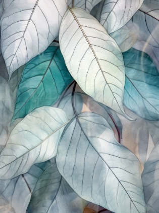 Picture of WATERCOLOR LEAVES NATURE FLORAL 6