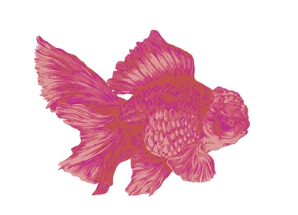 Picture of BLUEBERRY GOLDFISH