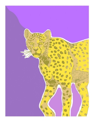 Picture of CHEETAH