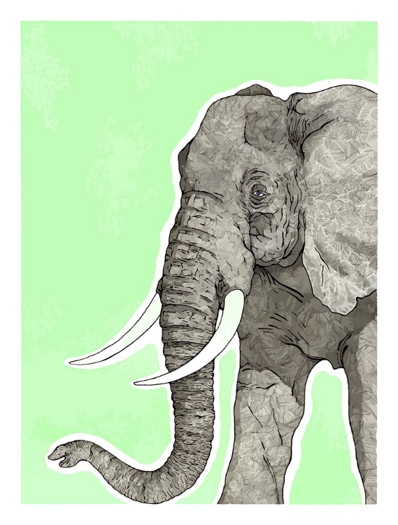 Picture of ELEPHANT