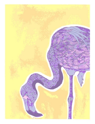 Picture of FLAMINGO