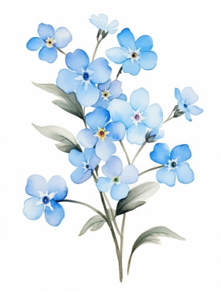 Picture of FORGET ME NOT FLOWER 4