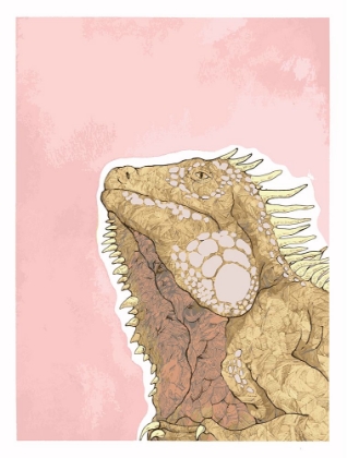 Picture of IGUANA