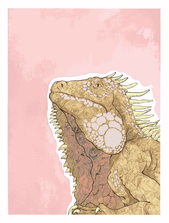 Picture of IGUANA