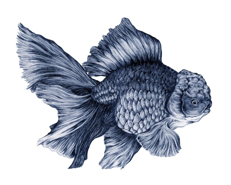 Picture of BLUEBERRY GOLDFISH