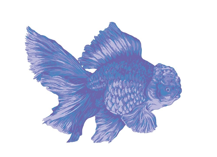 Picture of BLUEBERRY GOLDFISH