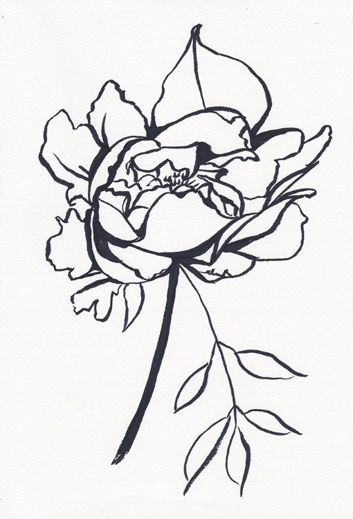 Picture of BLACK AND WHITE PEONY SMALL