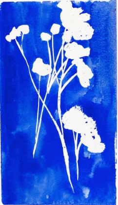 Picture of CYANOTYPE WATERCOLOR II