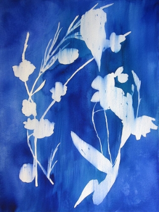 Picture of CYANOTYPE