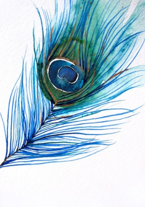 Picture of FEATHER4