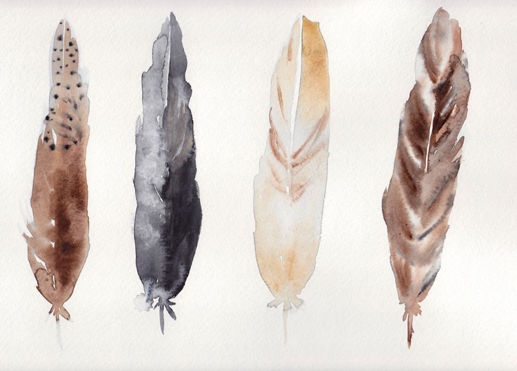 Picture of FEATHERS