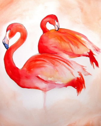 Picture of FLAMINGOS