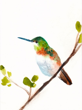 Picture of HUMMINGBIRD