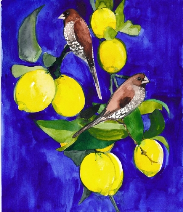 Picture of LEMON TREE WITH FINCHES SMALL