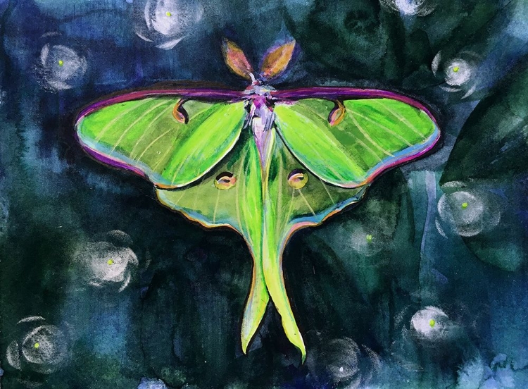 Picture of LUNA MOTH1