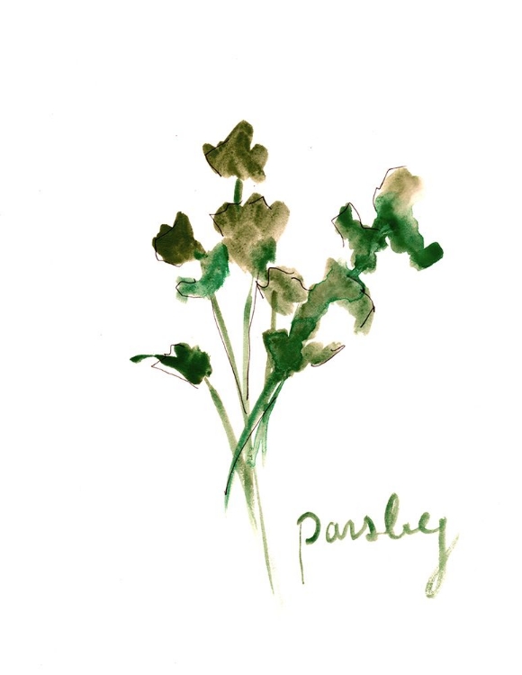 Picture of PARSLEY1