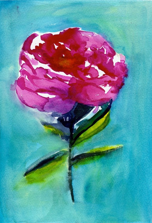 Picture of PEONY