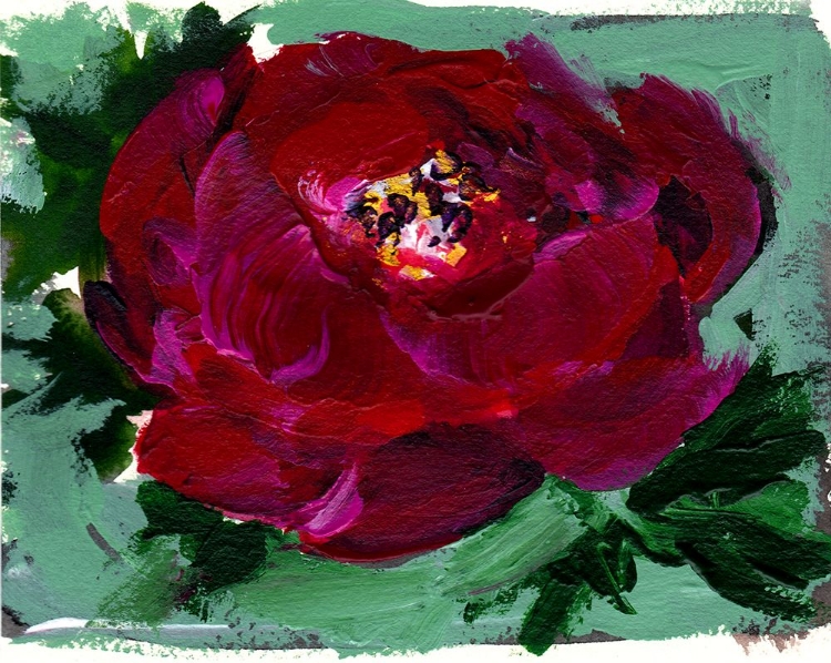 Picture of RED PEONY