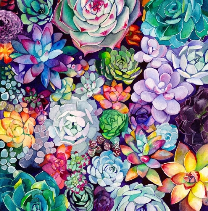 Picture of SUCCULENT GARDEN 30X30