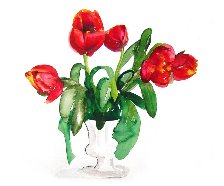 Picture of TULIPS