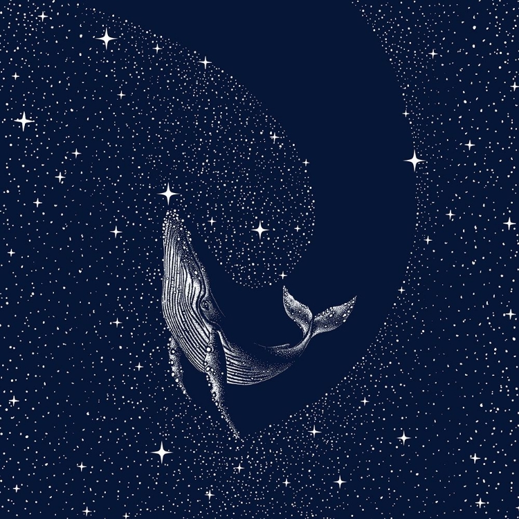 Picture of STARRY WHALE