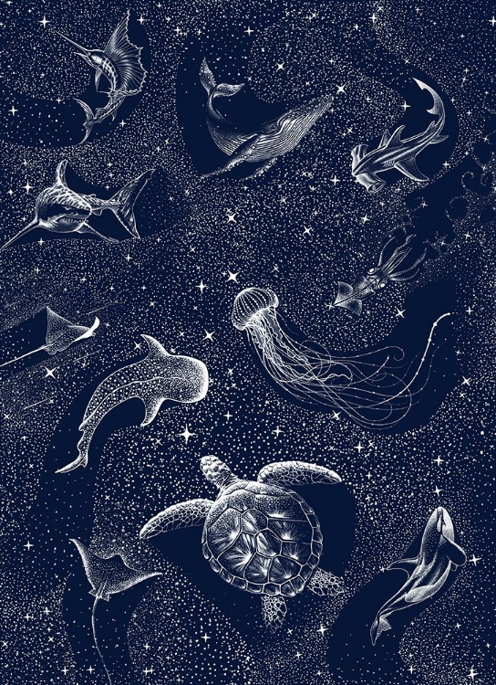 Picture of COSMIC OCEAN