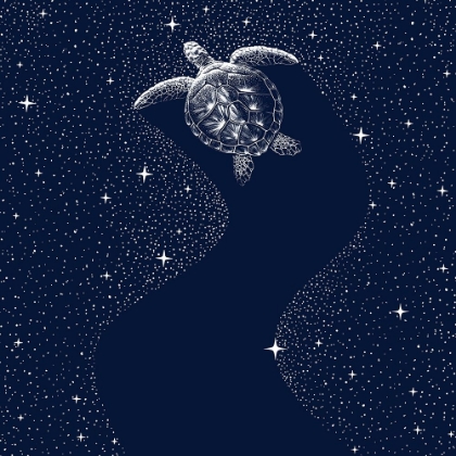 Picture of STARRY TURTLE