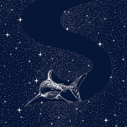 Picture of STARRY SHARK