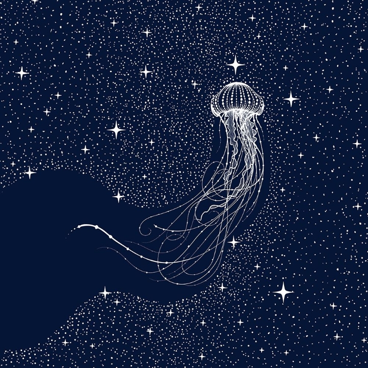 Picture of STARRY JELLYFISH