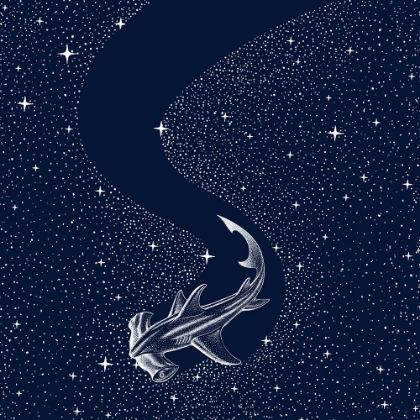 Picture of STARRY HAMMERHEAD