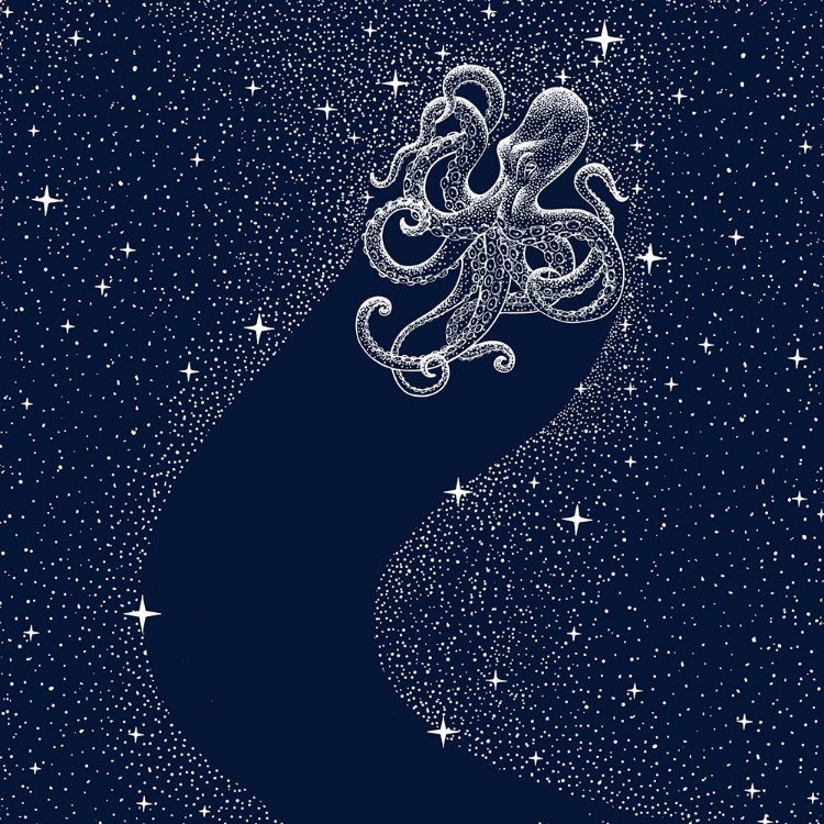 Picture of STARRY OCTOPUS