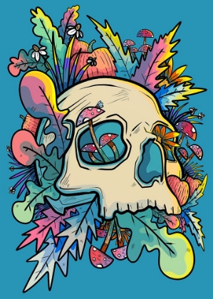 Picture of MUSHROOMS AND THE COLOURFUL SKULL