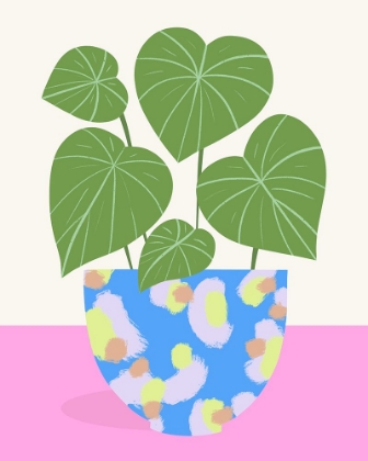 Picture of PLANT IN PATTERNED POT