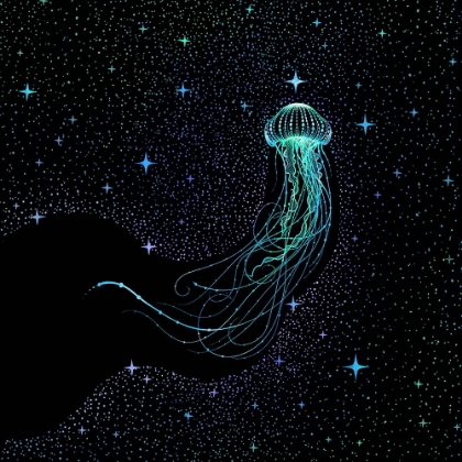 Picture of STARRY JELLYFISH COLORED