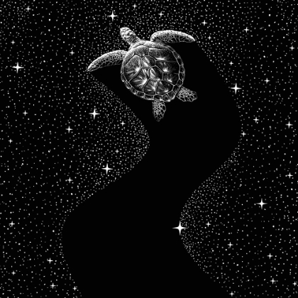 Picture of STARRY TURTLE  (BLACK VERSION)