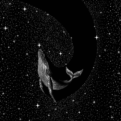 Picture of STARRY WHALE (BLACK VERSION)