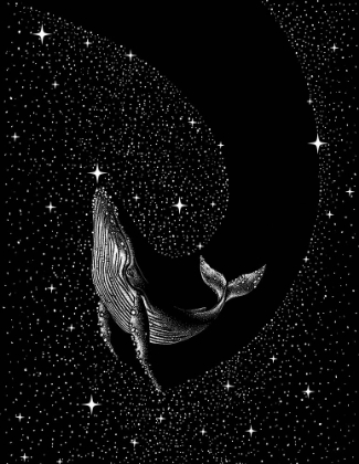 Picture of STARRY WHALE (BLACK VERSION)