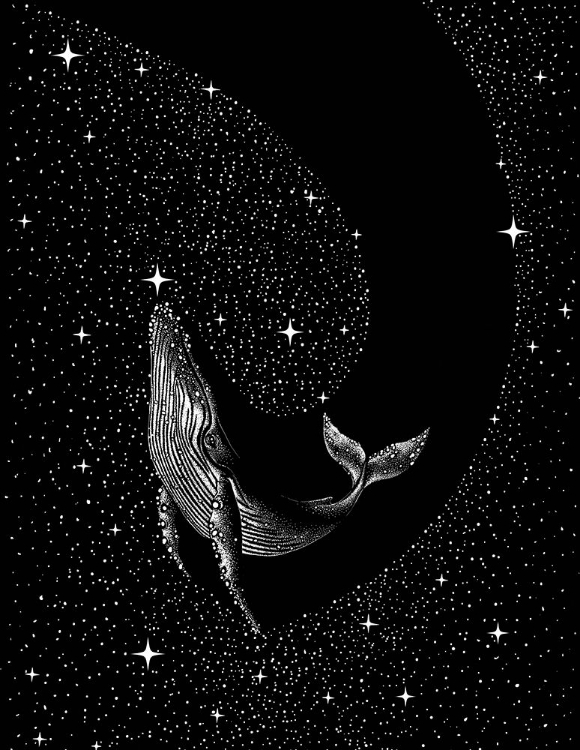 Picture of STARRY WHALE (BLACK VERSION)