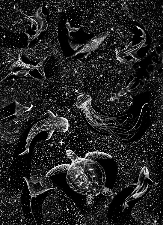 Picture of COSMIC OCEAN  (BLACK VERSION)