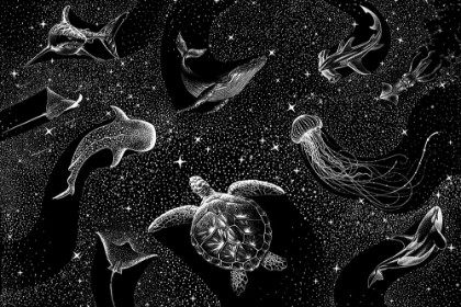 Picture of COSMIC OCEAN  (BLACK VERSION)