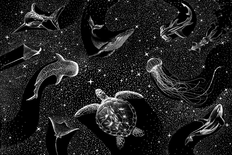 Picture of COSMIC OCEAN  (BLACK VERSION)