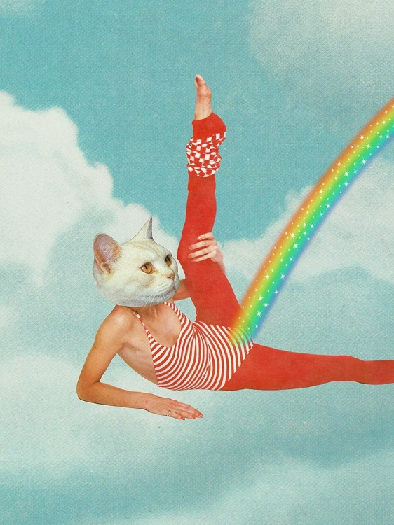 Picture of KITTY CATS RAINBOW WORKOUT