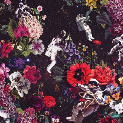 Picture of FLOWERS AND ASTRONAUTS