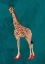 Picture of GIRAFFE TURQUOUISE HEELS