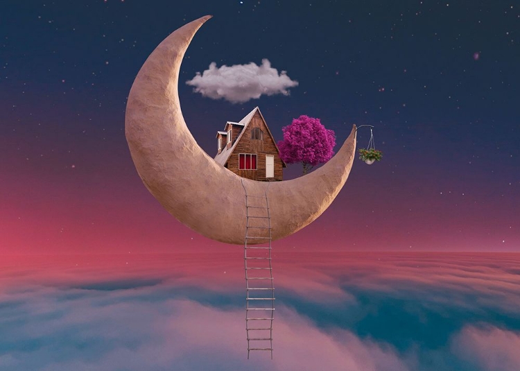 Picture of MOON HOUSE