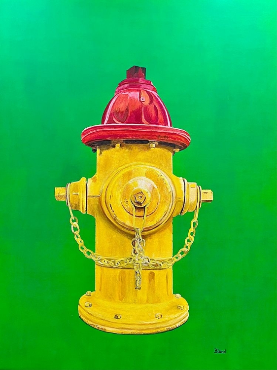 Picture of HYDRANT #57 25