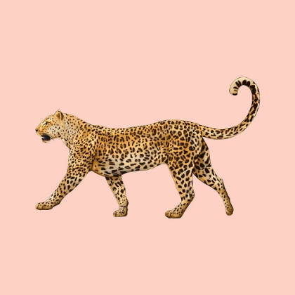 Picture of LEOPARD