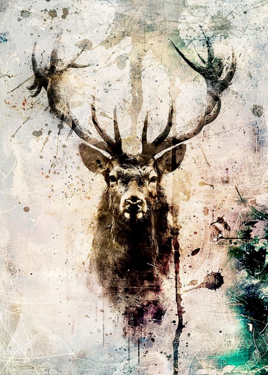 Picture of DEER INK ILLUSTRATION 02