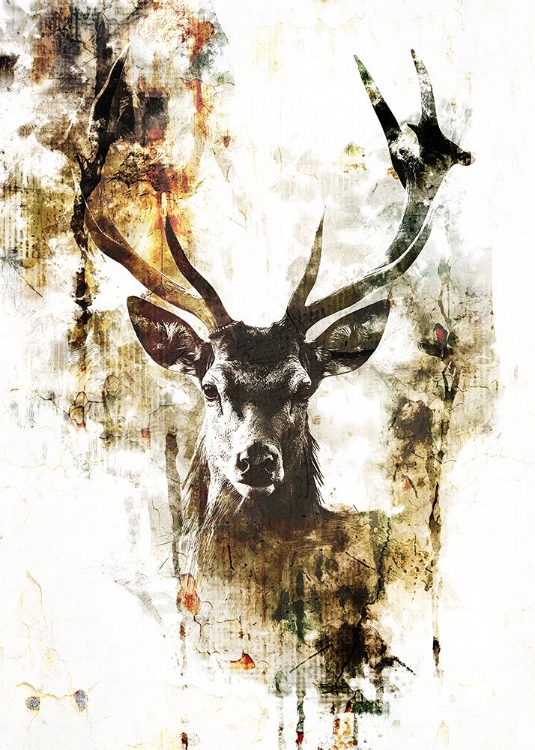 Picture of DEER INK ILLUSTRATION 01